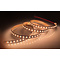 Striscia LED 2216 224 LED/m - Tunable White - Dim to warm - per 50cm