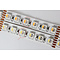 Striscia Luminosa a LED 96 LEDs/m RGBWW Singulo Chip - per 50cm - Tutti Colori e bianco caldo