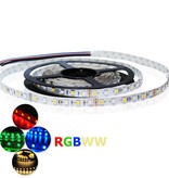 LED en bande 60 LEDs/m RVB-WW 4 en 1 Puce Étanche (IP68) par 50cm