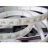 LED en bande 60 LEDs/m RVB-WW 4 en 1 Puce Étanche (IP68) par 50cm