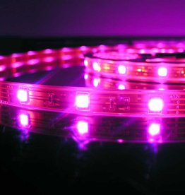 LED Streifen RGB - 30 LEDs/m Wasserdicht - je 50cm