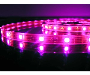LED Neon flessibile 60 LEDs/m RGBW - per 50cm