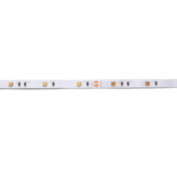 Led Strip Flexibel 3535 30 LED/m UV-C 275nm per 50cm