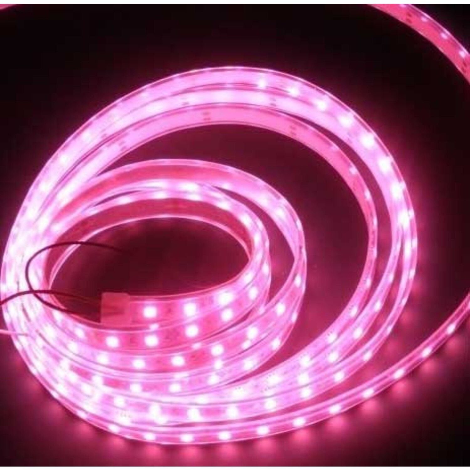 LED Streifen Wasserdicht Rosa IP65