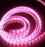 Striscia LED Rosa Impermeabile IP65 - per metro