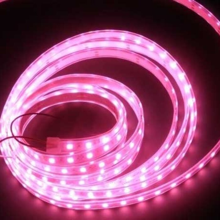LED Streifen Wasserdicht Rosa IP65 - je 50cm