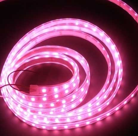 LED en bande auto-adhésive Étanche Rose - par 50cm