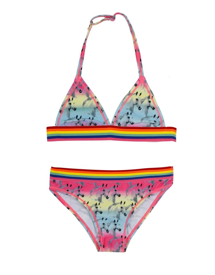 Claesen's 22E 22034 horse