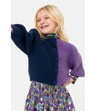 Simple Kids Simple Kids gebreide vest in paars- donker blauw