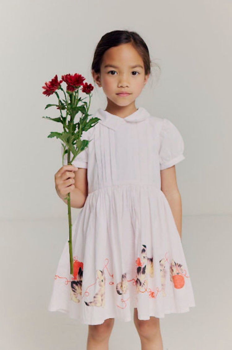 Morley Morley 52E WANDA-KITTENS-ROSE