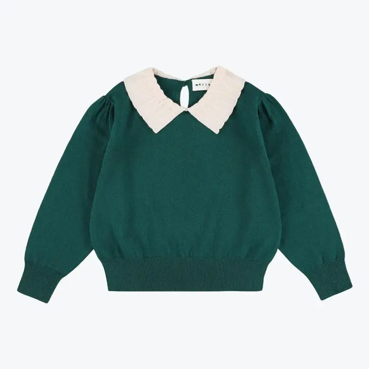 Morley Morley 62H ZAMORA MERINO dark adventure