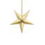 Feestartikelen Metallic goud ster
