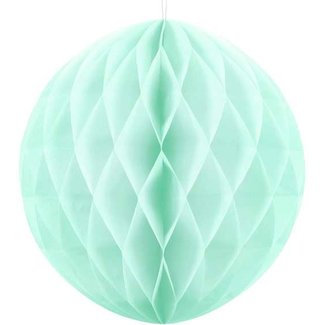 Feestartikelen Mint groen honeycomb XL