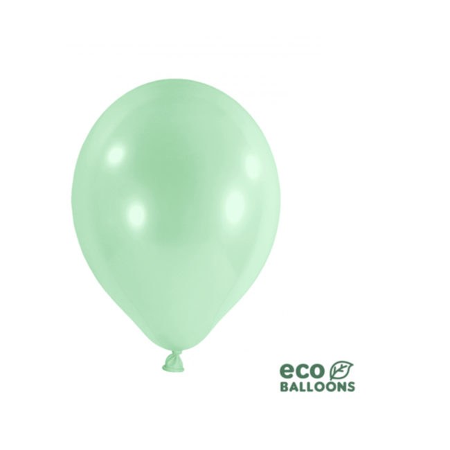 Partydeco Ballonnen mint XL eco