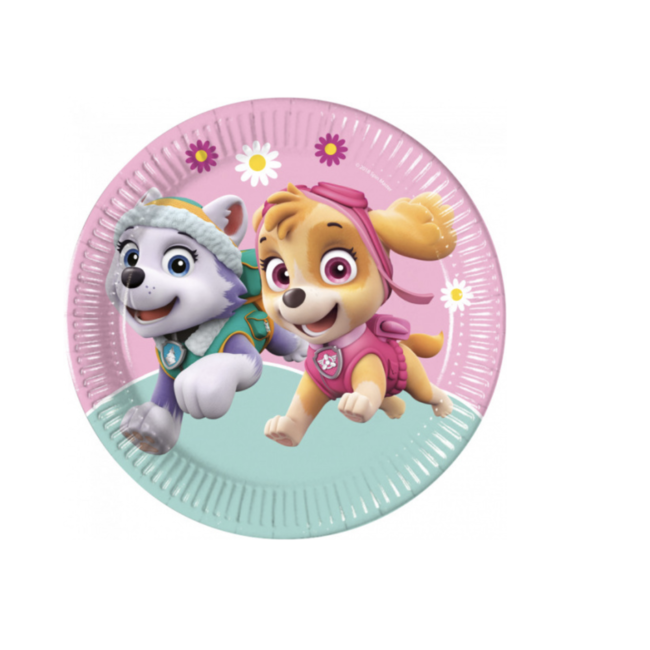 Feestartikelen Paw patrol borden pastel