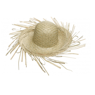 Feestartikelen Stro hoed naturel
