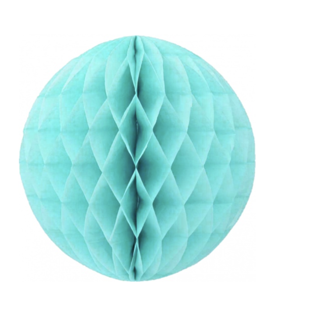 Feestartikelen Honeycomb turquoise