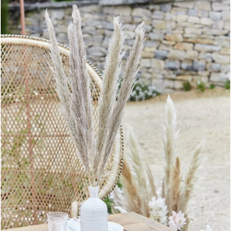 Party items Pampas pluimen naturel 5 ST