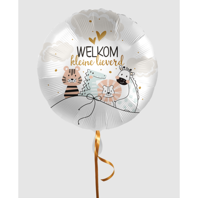 Feestartikelen Welkom kleine lieverd folie ballon