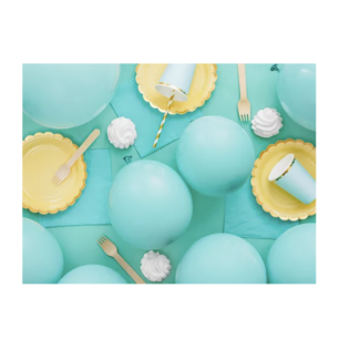 Partydeco Turquoise ballonnen eco