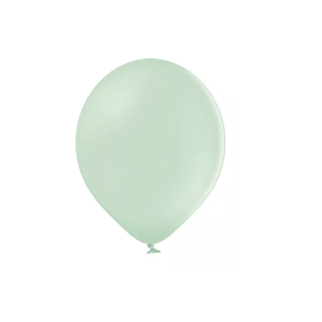 Feestartikelen Pastel mint ballonnen mat