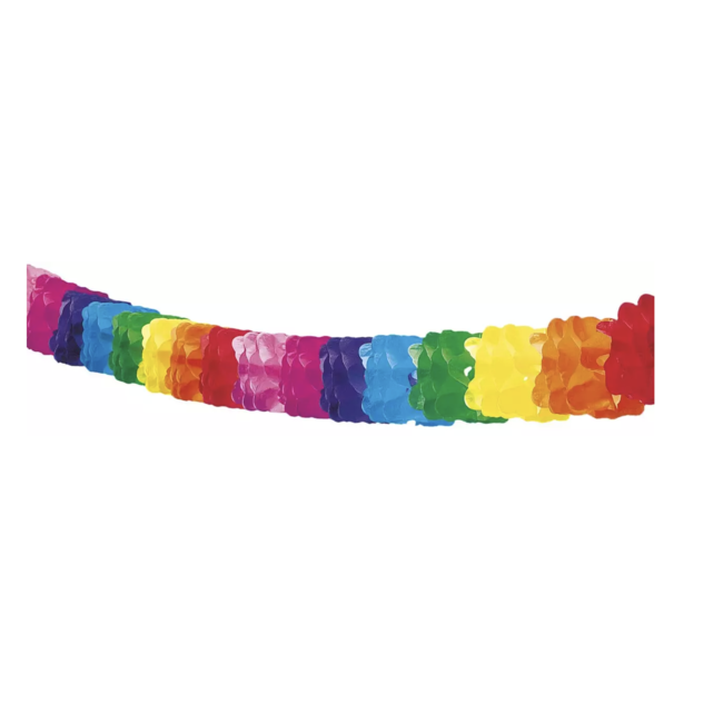 Bondgenoot uitzondering Europa Regenboog slinger papier - J-style-deco.nl | Online feestwinkel Zeeland