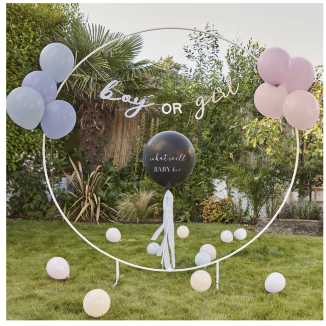 Ginger Ray  Gender Reveal party set