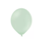 Ballonnen latex ballonnen mat mint groen 50 ST