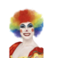 party Clown pruik unisex