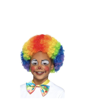 party Clown pruik kinderen