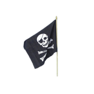 Piraten doodshoofd vlag