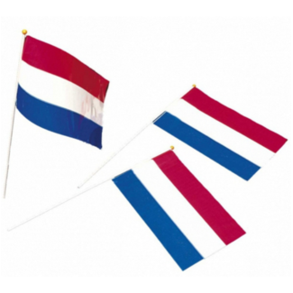 Nederlandse vlag klein 1st