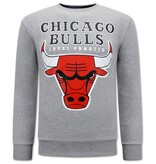 Local Fanatic Chicago Bulls Men Sweater - Grey