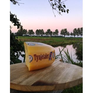 Tynjetaler, de trots uit Friesland