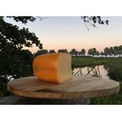 Gouda JONG BELEGEN