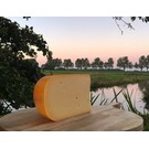 Gouda OUD