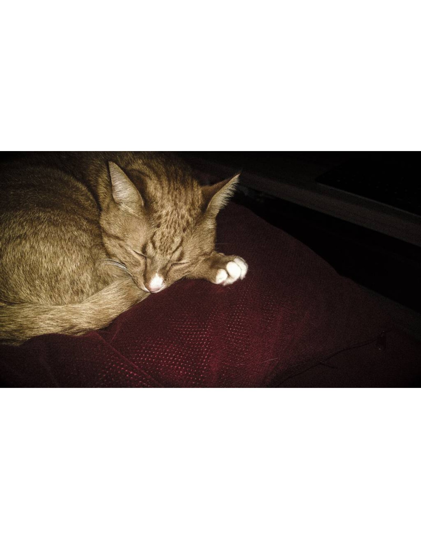 Microsoft Windows Phone - 16GB met gratis Zune giftcard