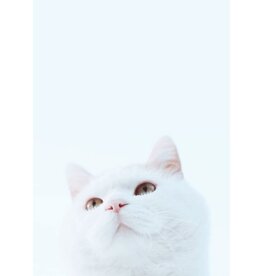 Samsung Galaxy - 16GB