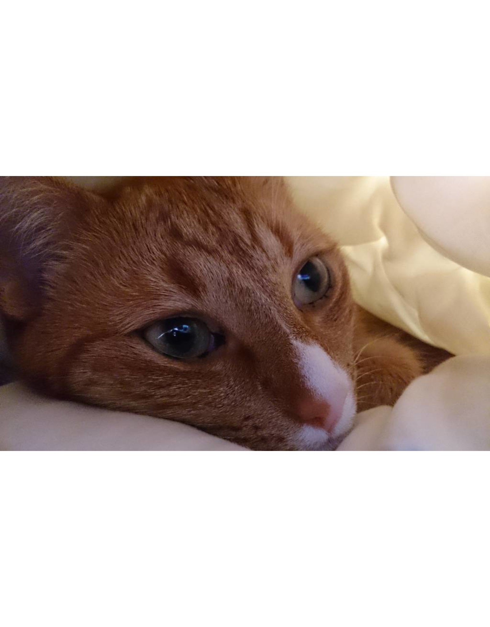 Fatboy Mooie zitzak 2