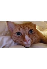 Fatboy Mooie zitzak 2