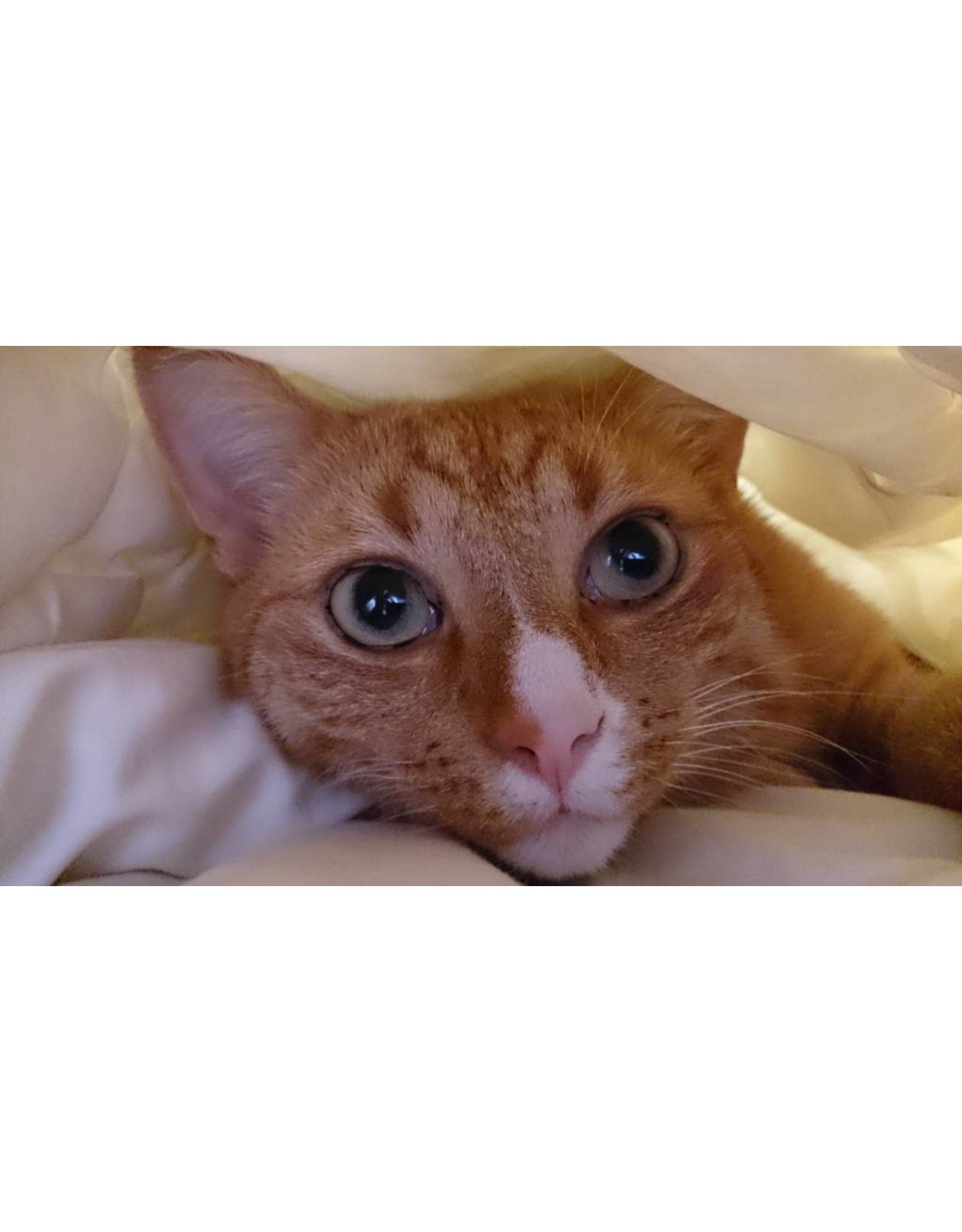 Fatboy Mooie zitzak 2