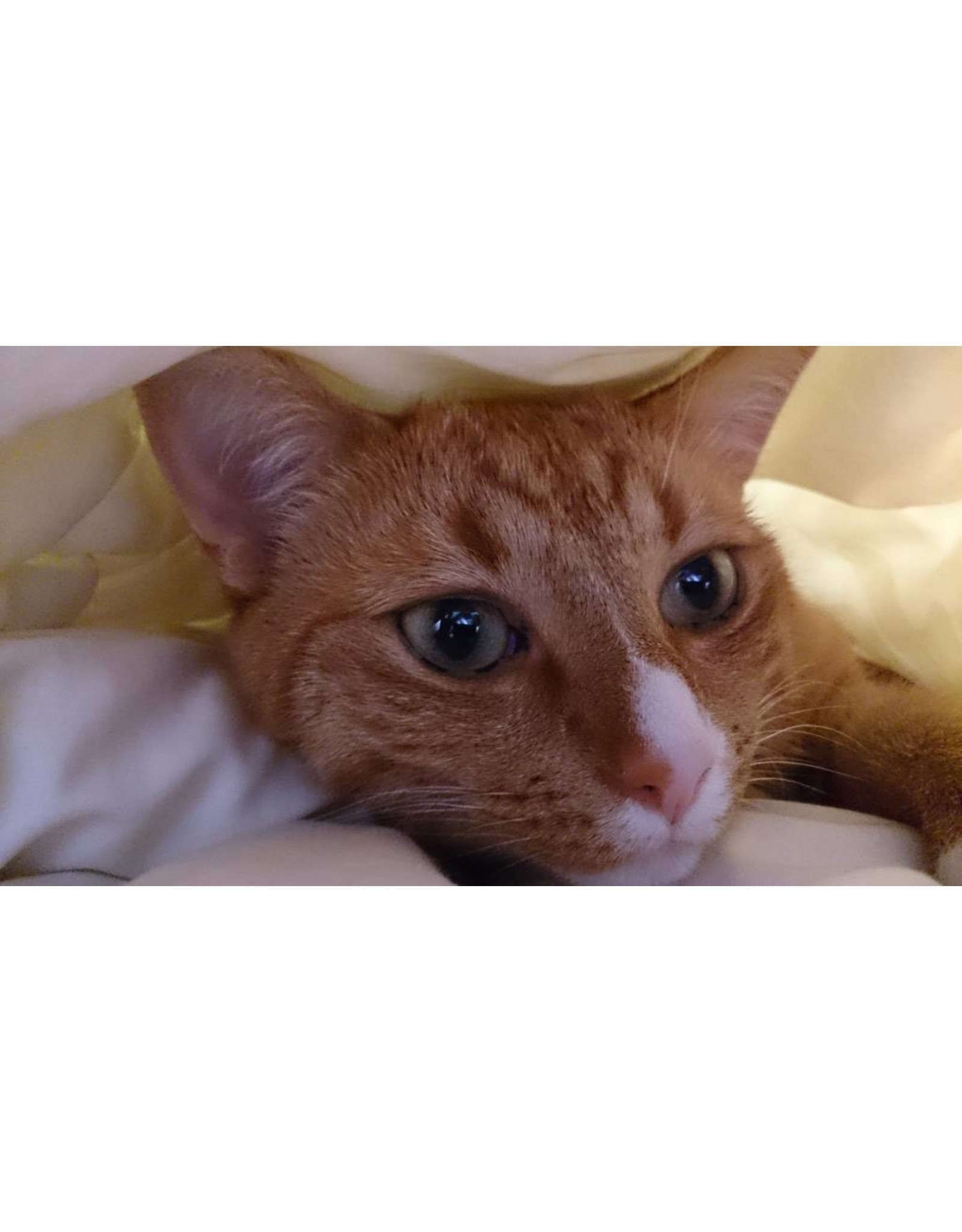 Fatboy Mooie zitzak 2