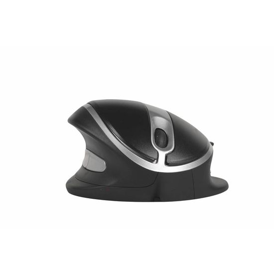 Oyster Mouse Oyster Mouse