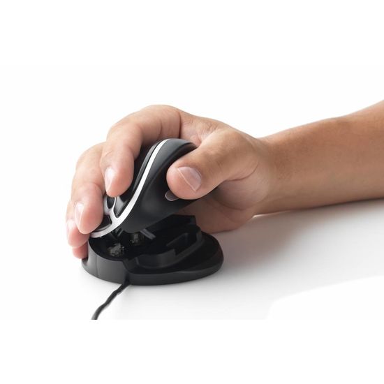 Oyster Mouse Oyster Mouse