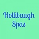 Hollibaugh Spa Filters