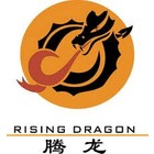 Rising Dragon Spa Filters