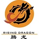 Rising Dragon Spa Filters