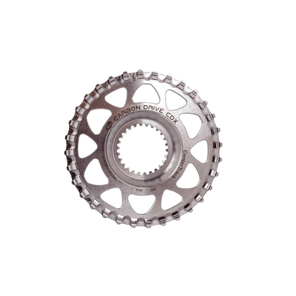 pinion and gates carbon drive