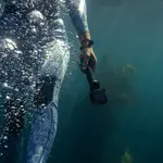 GoPro GoPro The Handler (Floating Hand Grip)