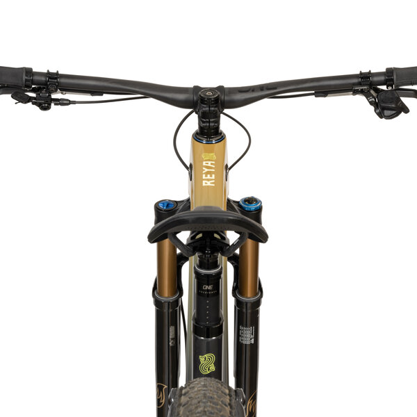 Forbidden 2026 Forbidden Reya T1